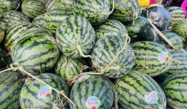 南宁网红吃瓜视频,揭秘城市生活趣味瞬间